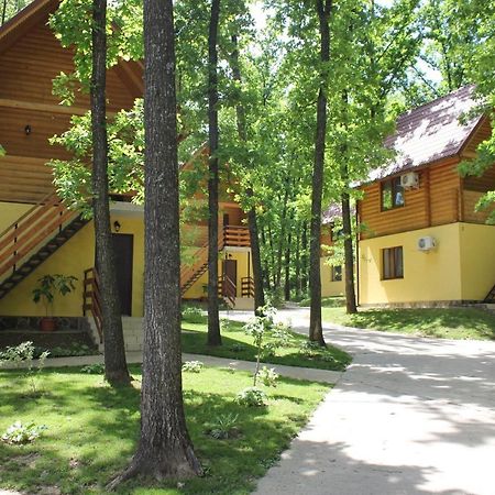 فندق Вілія Lomacineţi المظهر الخارجي الصورة