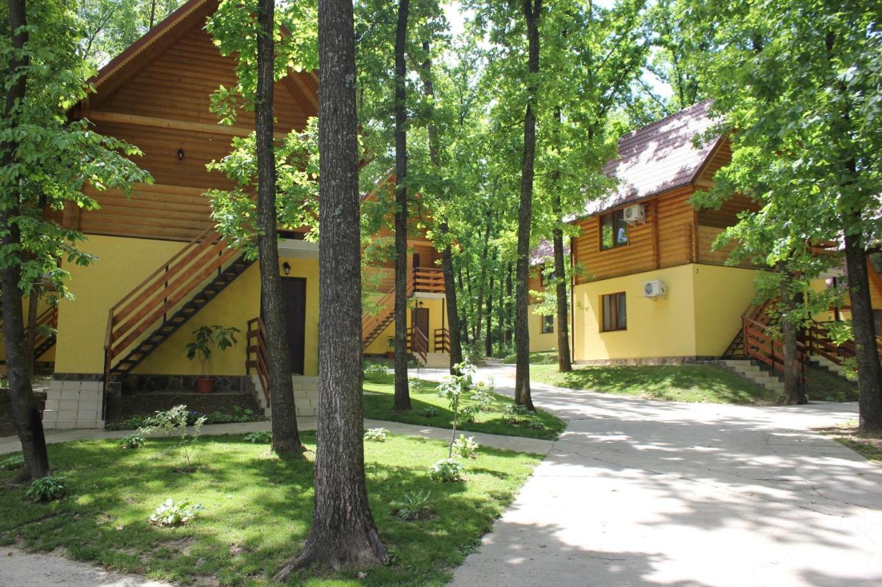 فندق Вілія Lomacineţi المظهر الخارجي الصورة